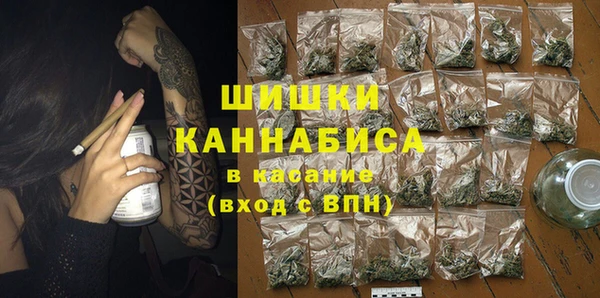 хмурый Абаза