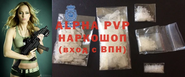 сатива Покачи