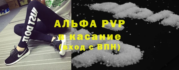 хмурый Абаза