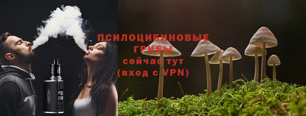хмурый Абаза