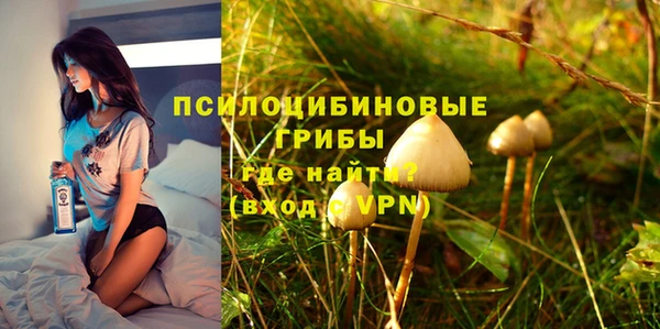 МДПВ Покровск