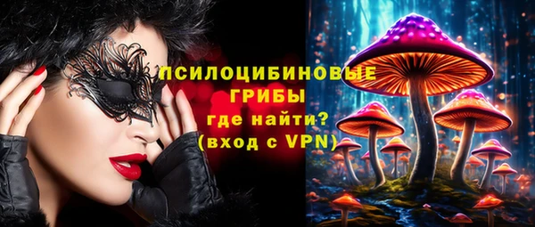 хмурый Абаза