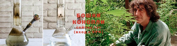 сатива Покачи