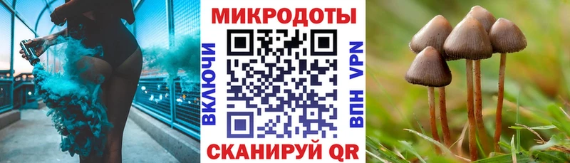 хочу   Суоярви  Псилоцибиновые грибы прущие грибы 